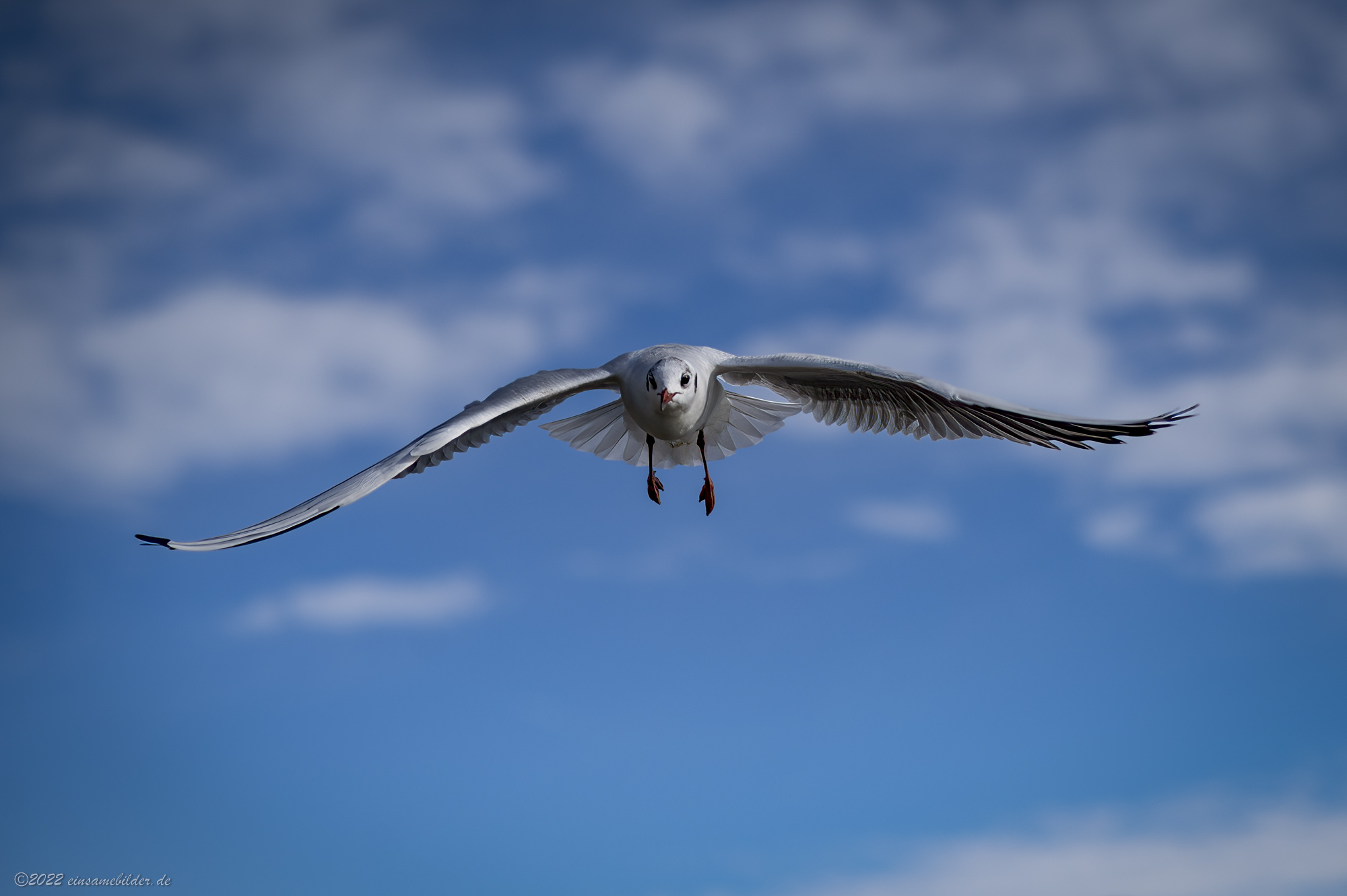  DSC2732 Edited   109